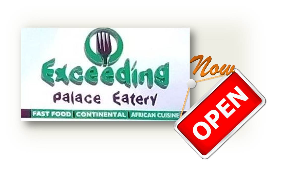 exceeding palace logo